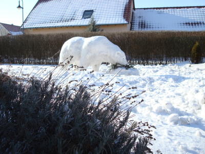 Schnee am letzten Januarwochenende Schnee am letzten Januarwochenende