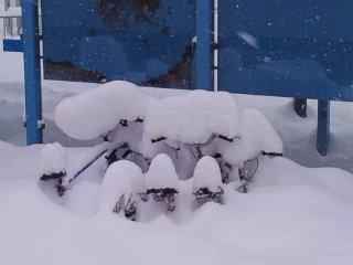 Schnee am letzten Januarwochenende Schnee am letzten Januarwochenende