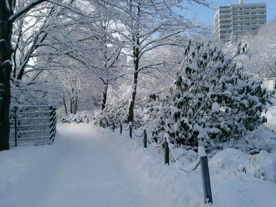 Schnee am letzten Januarwochenende Schnee am letzten Januarwochenende