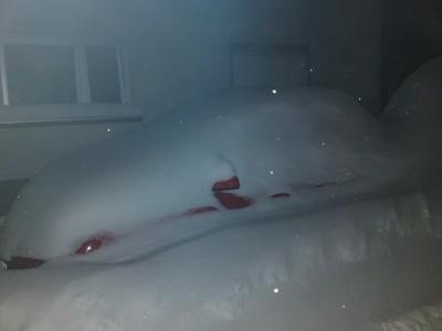 Schneebilder 030210 Schneebilder 030210