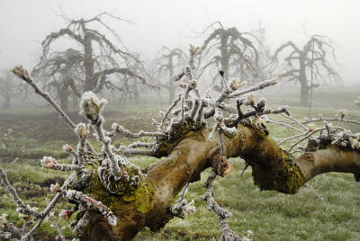 wintereinbruch Yve wintereinbruch Yve