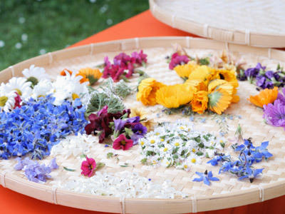 Blüten Blüten