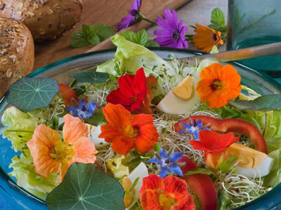 Blüten Blüten