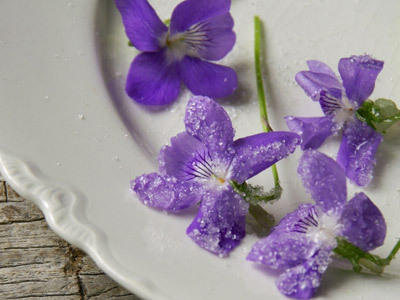 Blüten Blüten