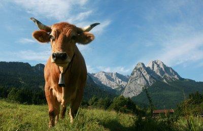 Abkühlen Abkühlen