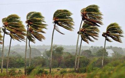 Windstärke Windstärke
