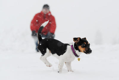 Erster Schnee Erster Schnee