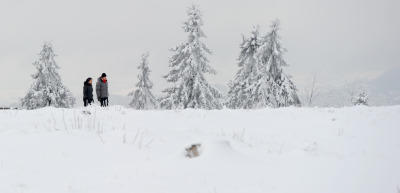 Erster Schnee Erster Schnee