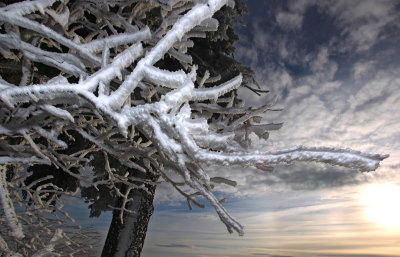 Erster Schnee Erster Schnee