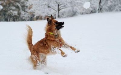 Erster Wintereinbruch Erster Wintereinbruch