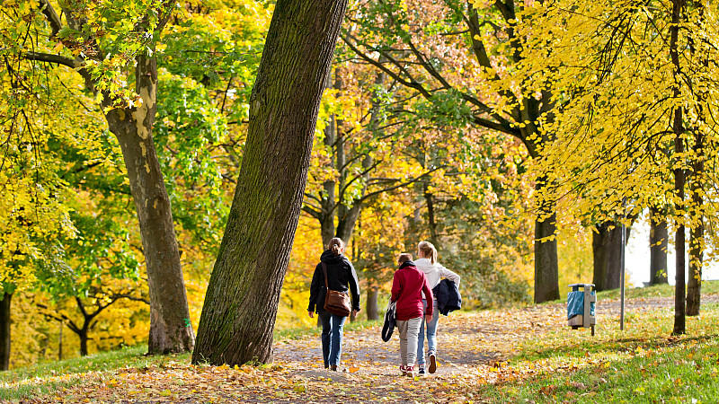 RG Herbst was sie wissen müssen RG Herbst was sie wissen müssen
