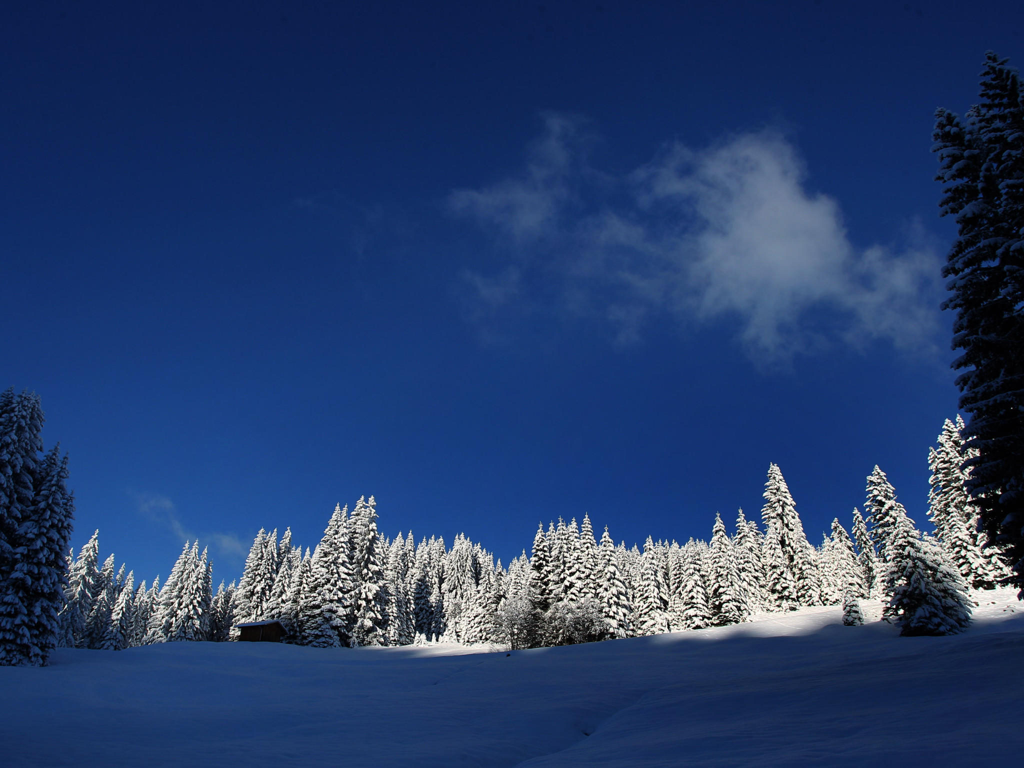 Schöner Winter Schöner Winter