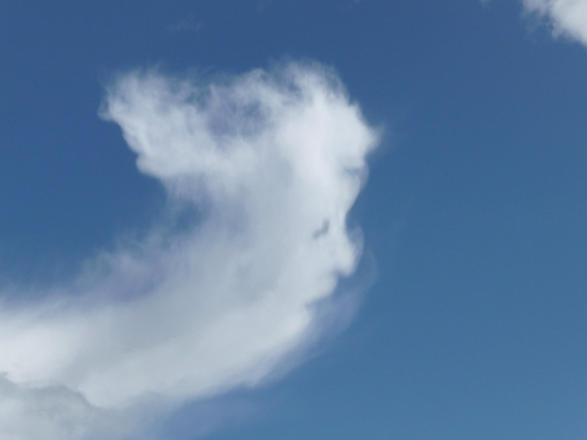 Wolken, die wie Dinge aussehen Wolken, die wie Dinge aussehen