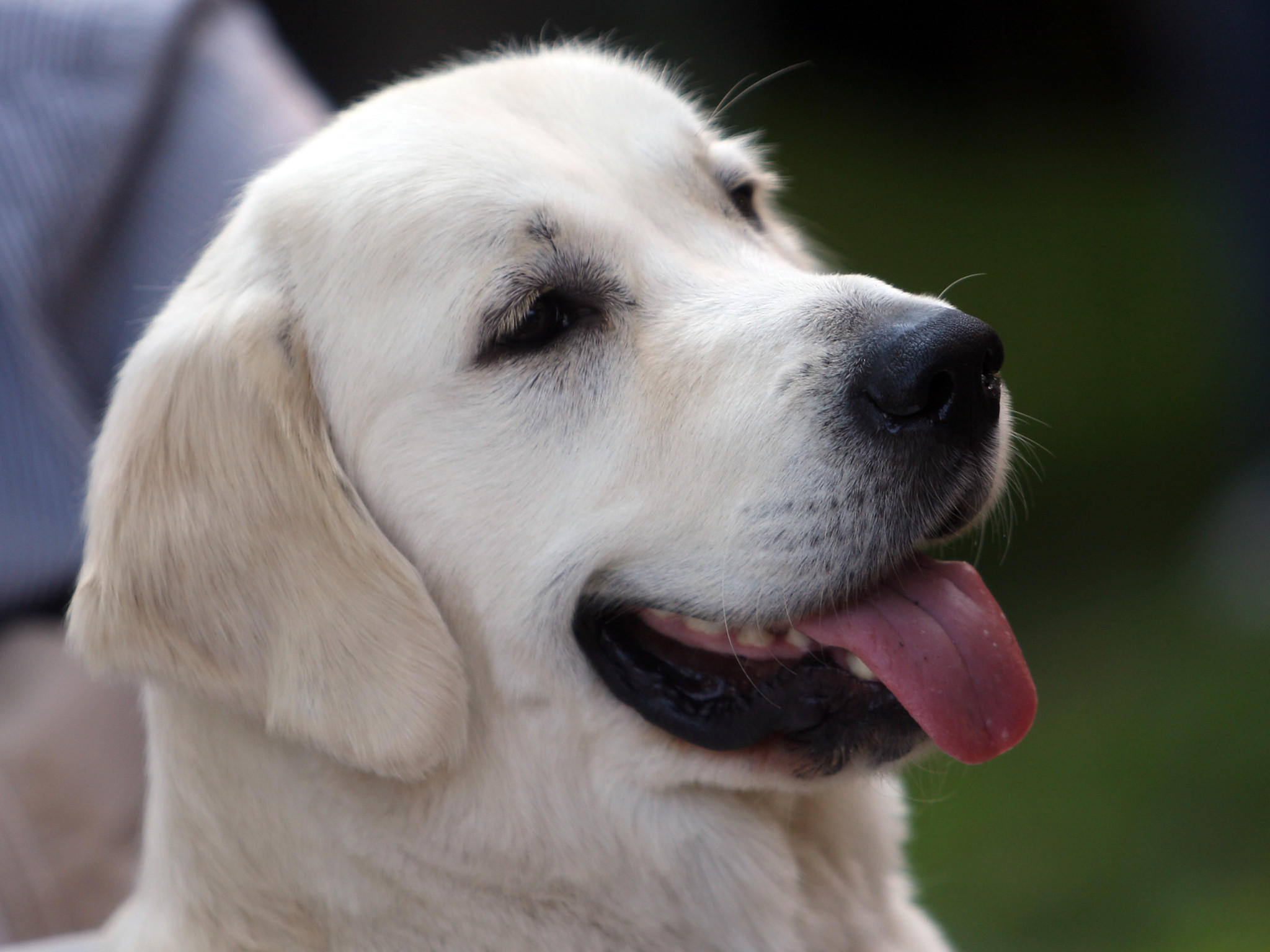 Tiere als Wetterpropheten Tiere als Wetterpropheten
