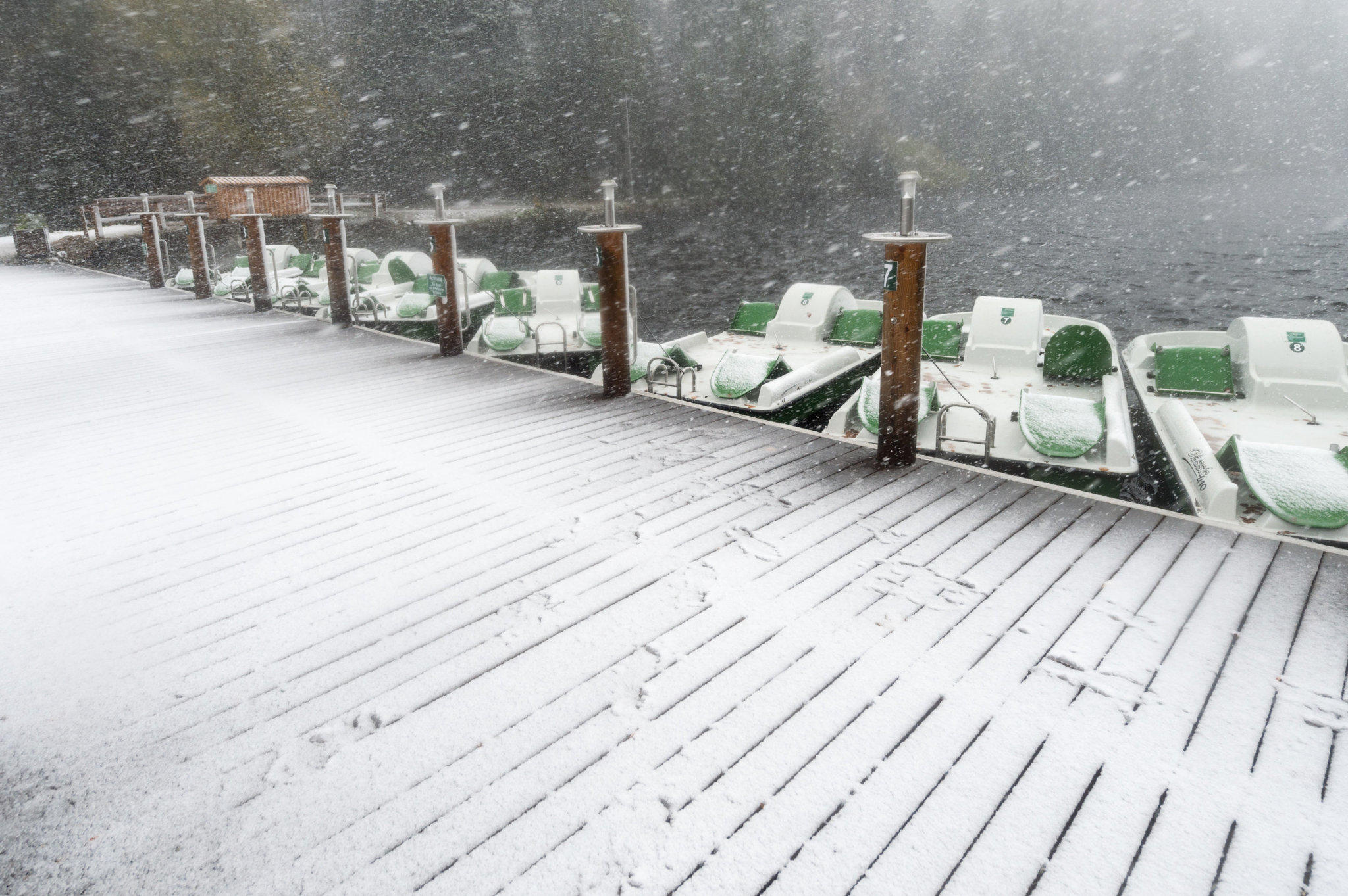 Der erste Schnee 2014/15 Der erste Schnee 2014/15