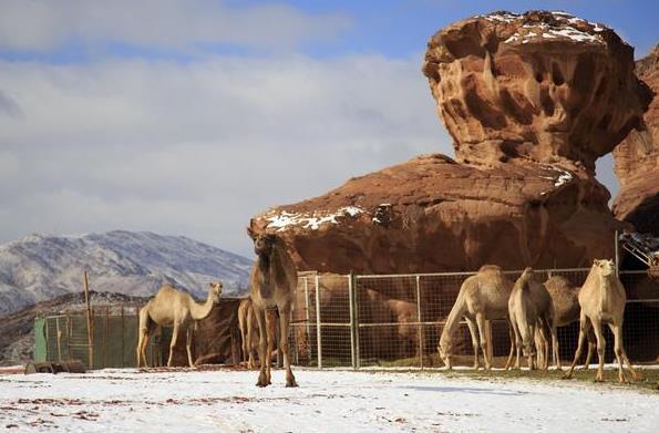 Wetter Schnee in der Wüste Saudi Arabien Wetter Schnee in der Wüste Saudi Arabien