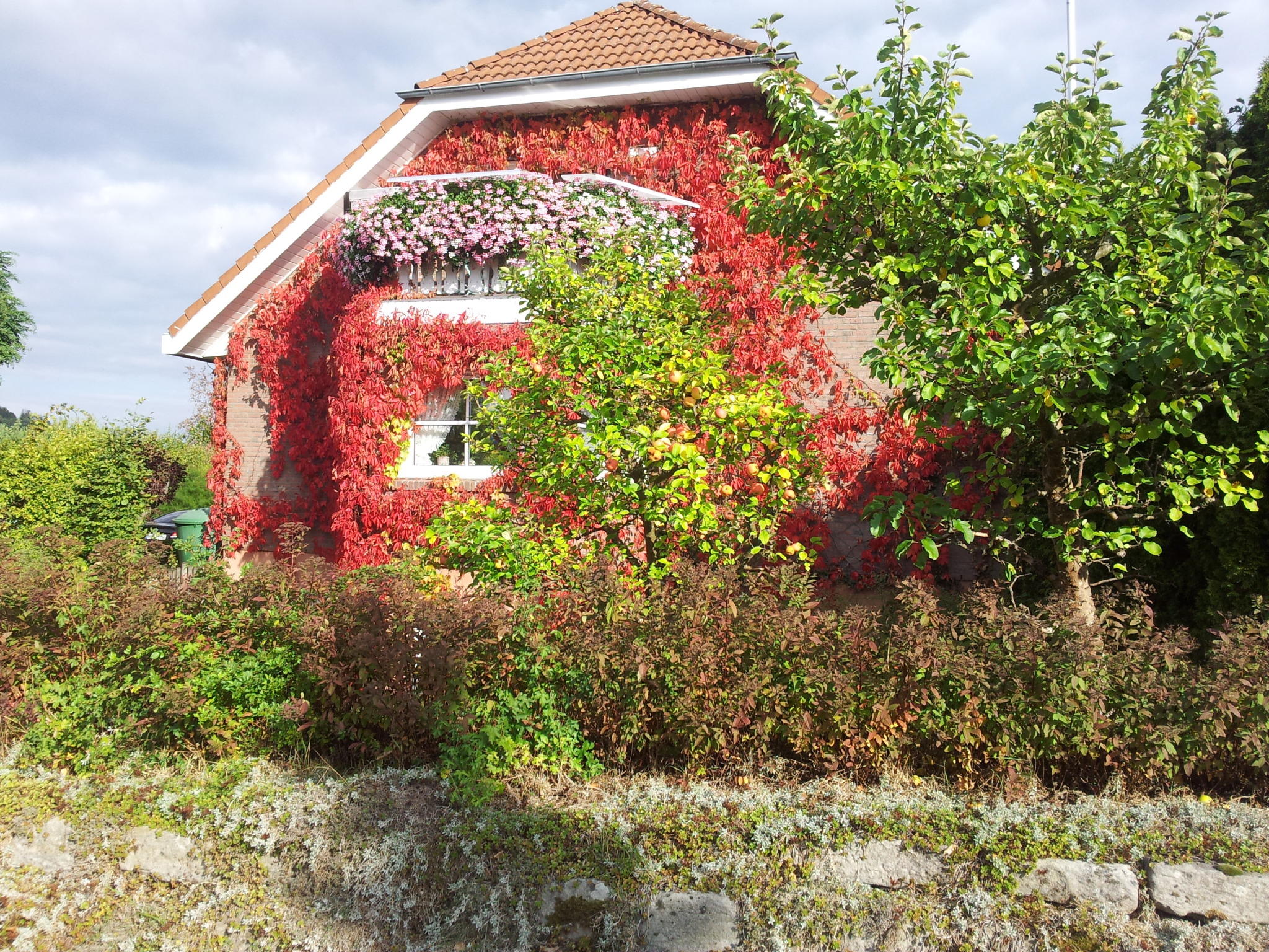 Herbstbilder1 Herbstbilder1