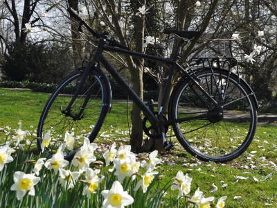 Fahrrad fit machen für den Frühling Fahrrad fit machen für den Frühling
