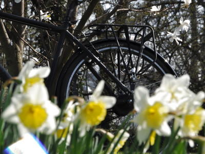 Fahrrad fit machen für den Frühling Fahrrad fit machen für den Frühling