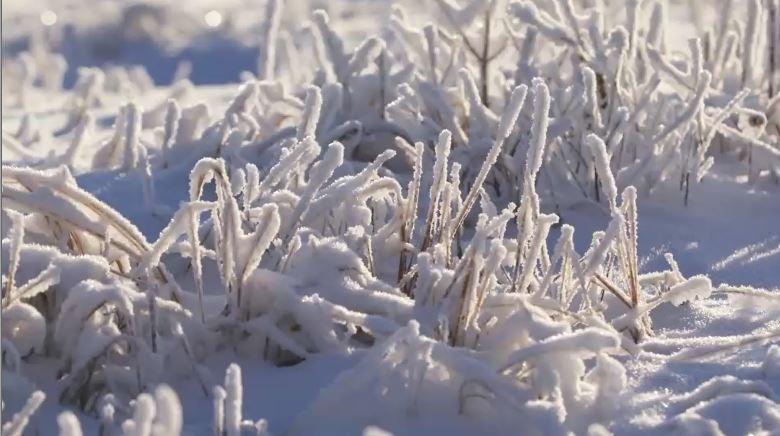 Wetter Windkarten Felix, Gunther, Hermann 12.1.15 Wetter Windkarten Felix, Gunther, Hermann 12.1.15