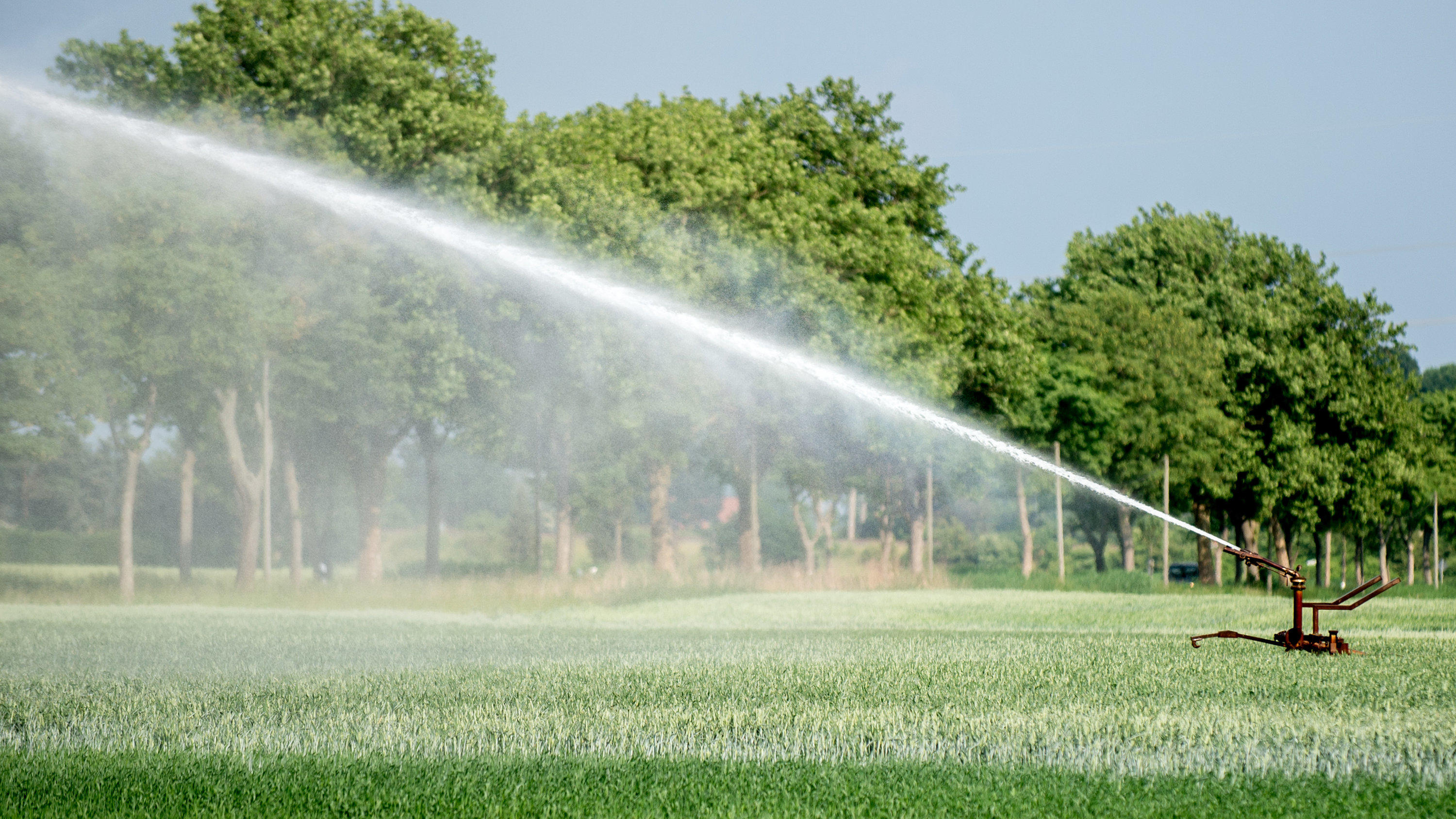 Trinkwasserknappheit in Deutschland 29.05.2018, Niedersachsen, Lehrte: Ein Feld wird bei strahlendem Sonnenschein und Temperaturen um 30 Grad beregnet. Die anhaltende Trockenheit in Niedersachsen wirkt sich auch auf die Landwirtschaft aus. Foto: Hauke-Christian Dittrich/dpa +++ dpa-Bil