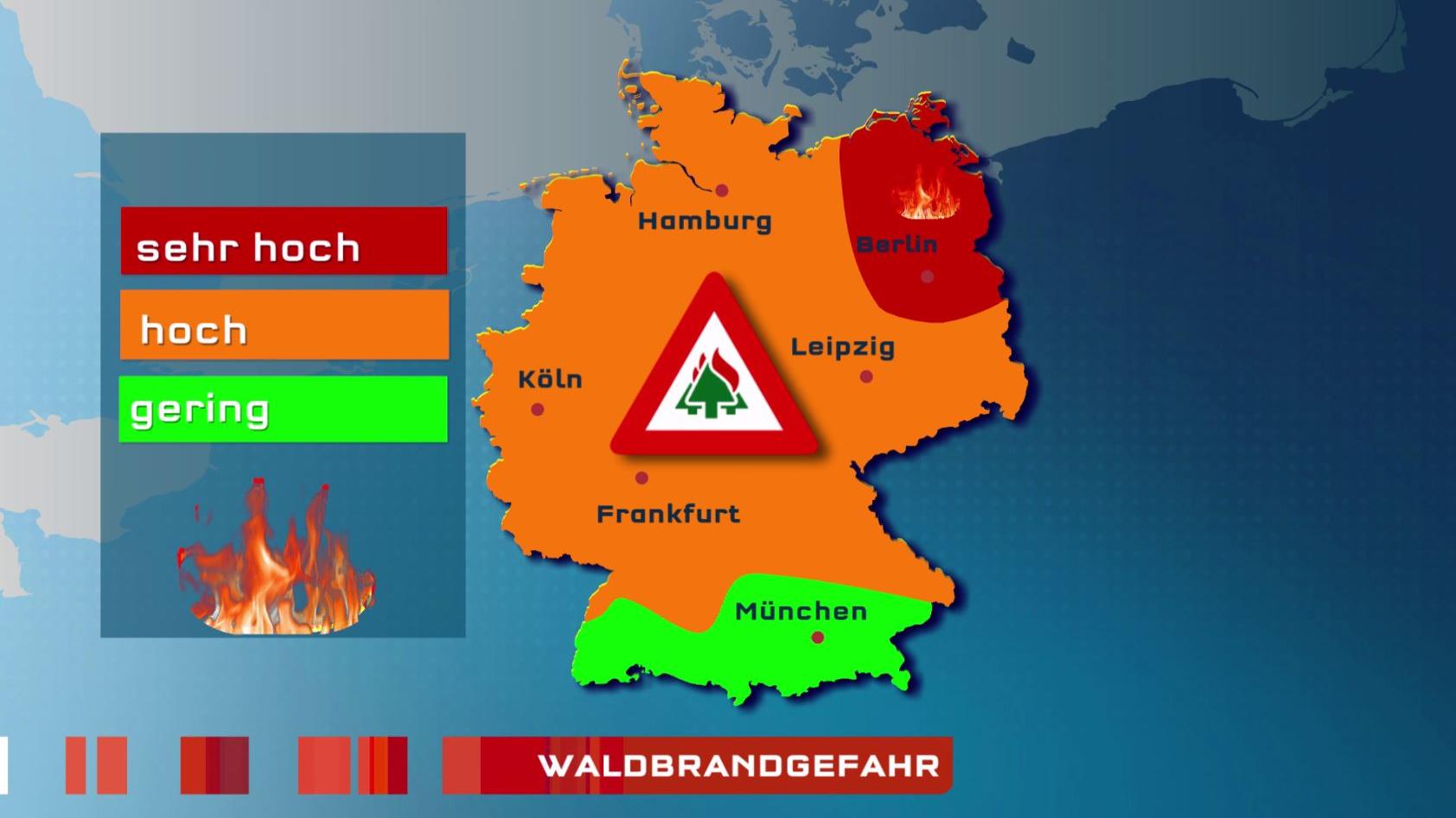 Bedrohliche Trockenheit: Ernteausfälle und Niedrigwasser in Mitteldeutschland Waldbrandgefahr besonders im Nordosten