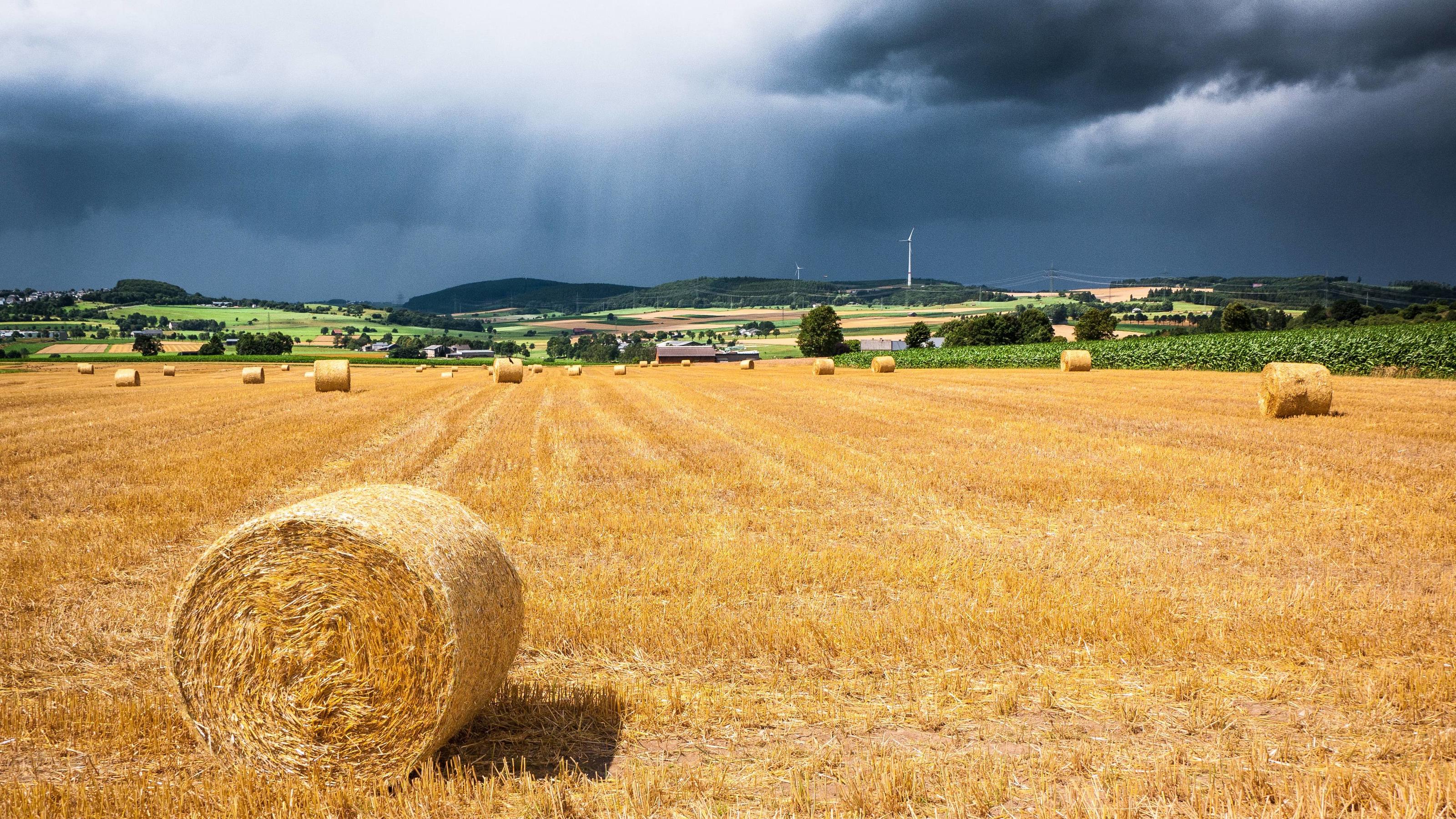 Wetterlexikon: Lostag Wetterlexikon: Lostag