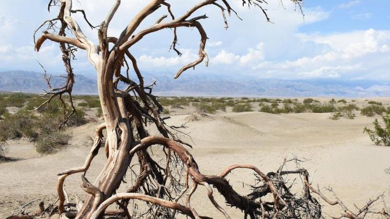 Camping-Drama: Tourist stirbt nach Reifenpanne im Death Valley - trauriger Zettel im Auto Death Valley National Park