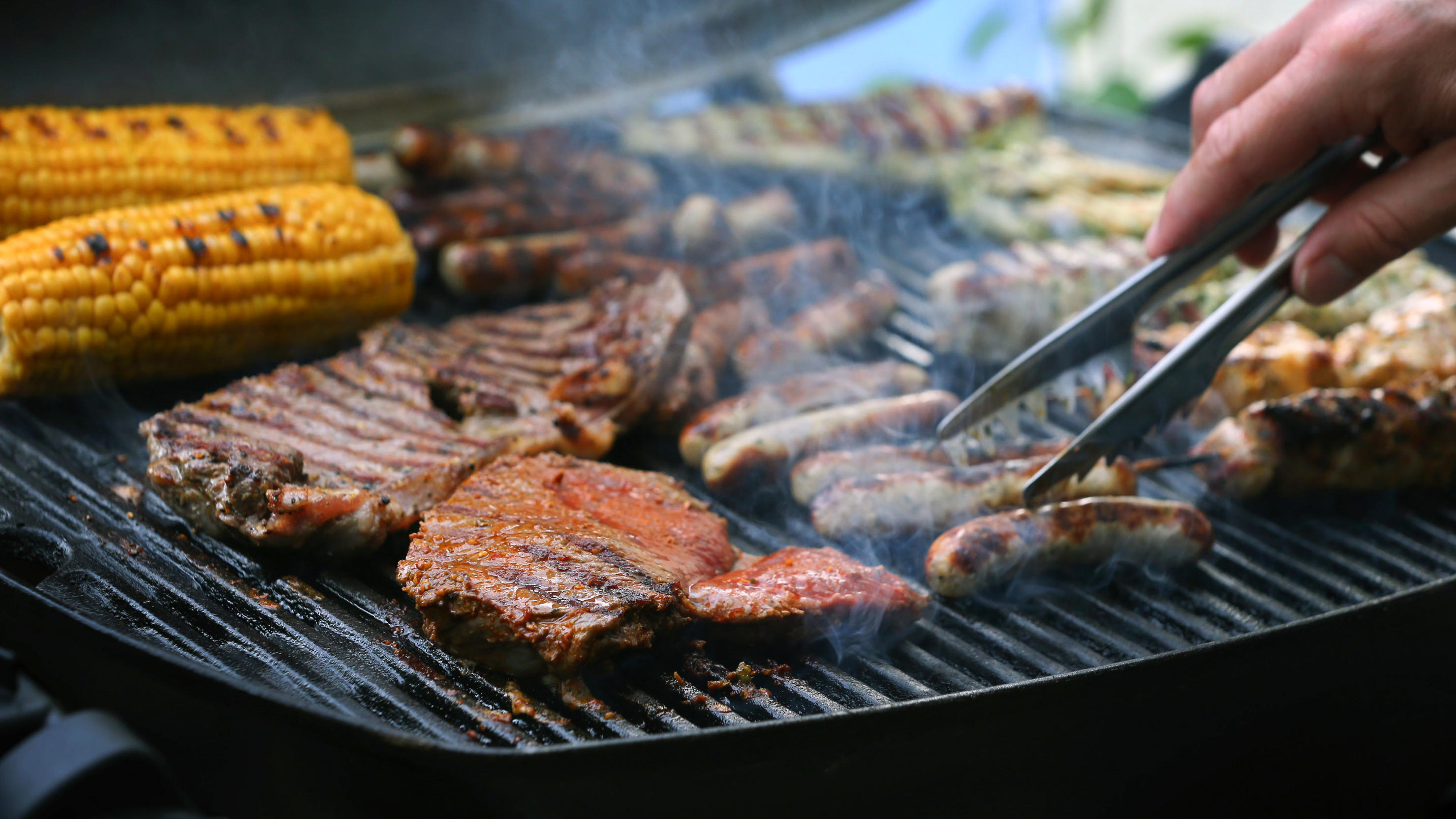 Elektrogrill-Kaufberatung: Welcher ist der richtige für mich? Elektrogrill