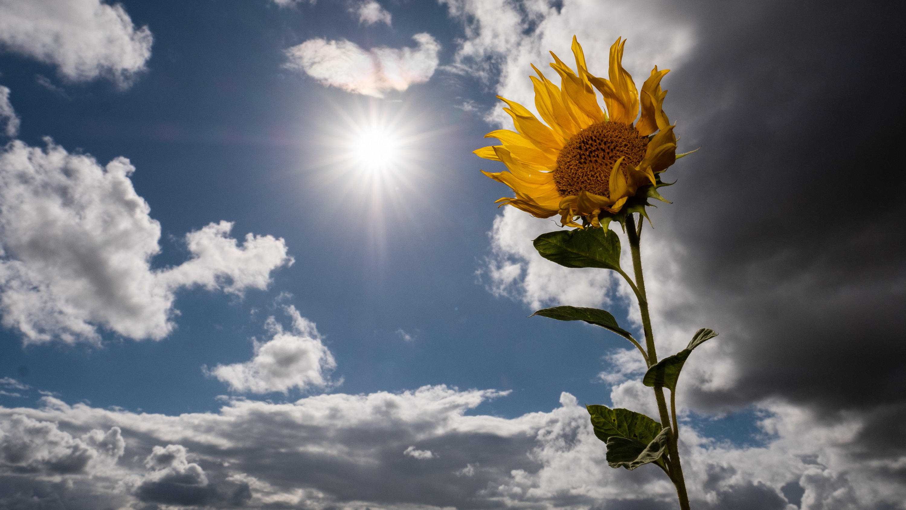 Wetterlexikon: Kondensationsniveau Wetterlexikon: Kondensationsniveau