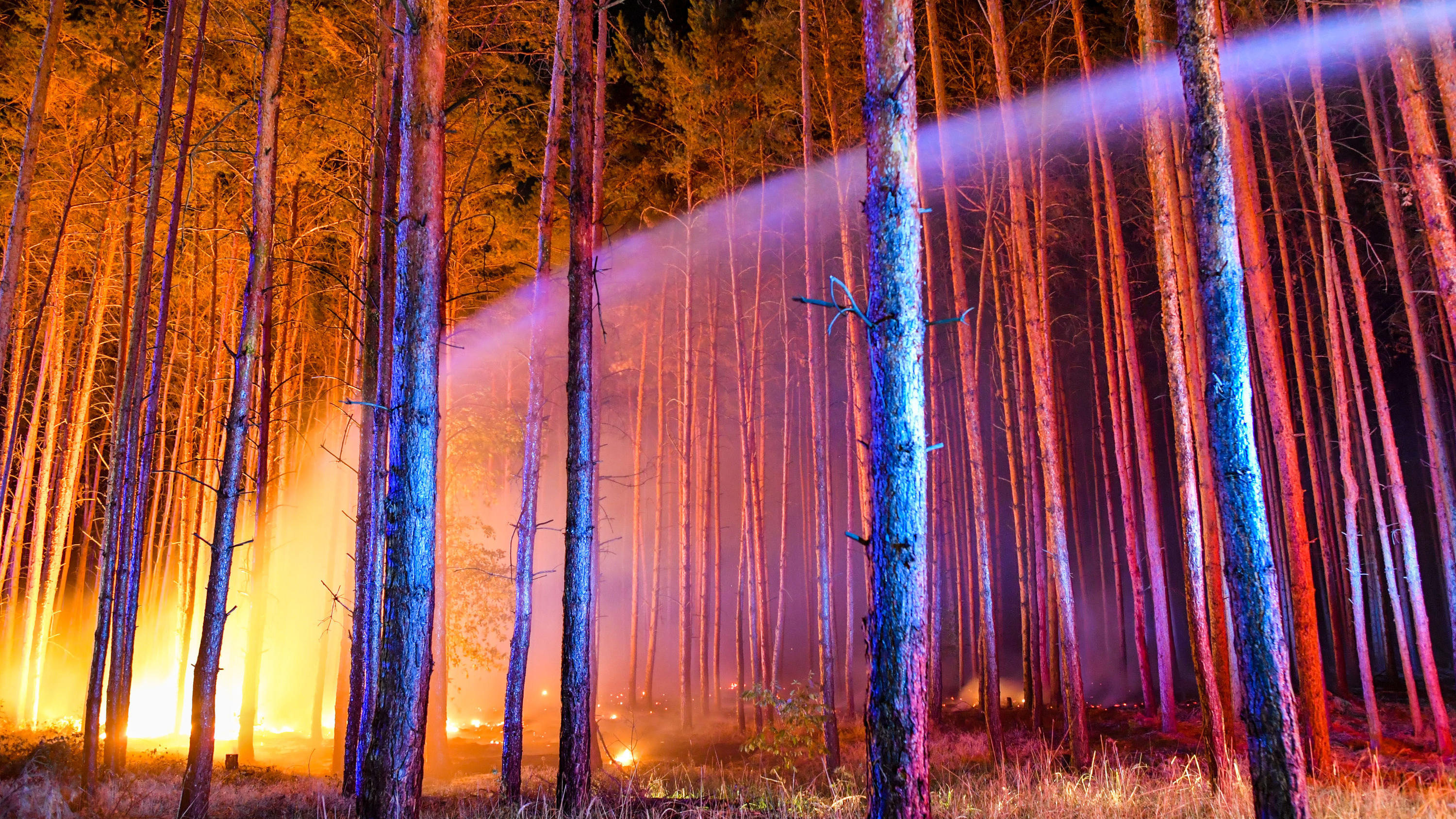 Förster Peter Wohlleben: Nadelholzplantagen sind „grüne Wüsten“ 24.08.2018, Brandenburg, Klausdorf: Hell erleuchtet ist ein brennender Wald nahe Klausdorf, der gerade versucht wird, mit einem Wasserstrahl aus einem Fahrzeuges der Feuerwehr zu löschen. Ein Feuer hat sich im Südwesten Brandenburgs auf einer großen