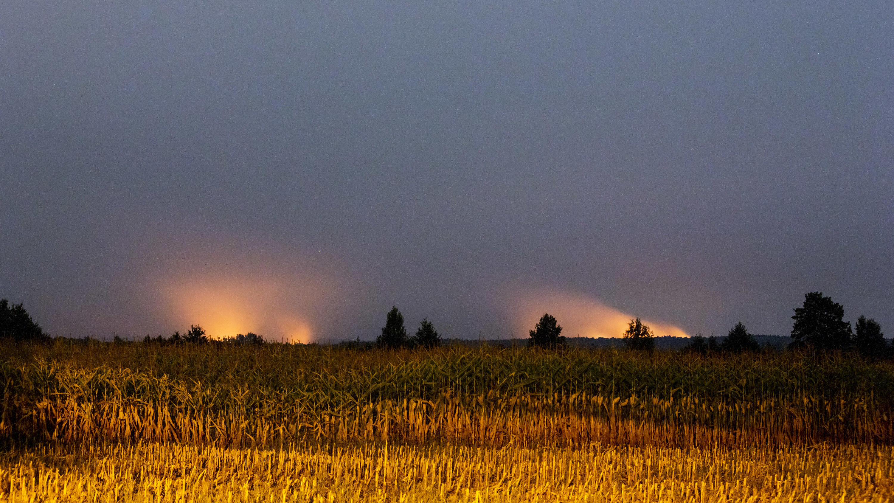 Sommer 2018 - die Bilanz: Die Gewinner und Verlierer des Super-Sommers Der Waldbrand in Brandenburg war weithin zu sehen und bis Berlin zu riechen.