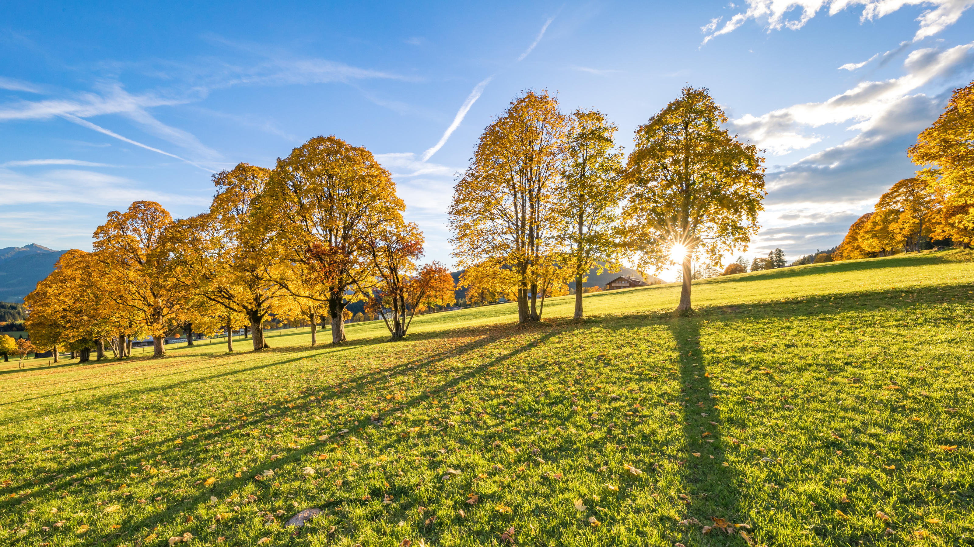 Wetterlexikon: Goldener Oktober  wetter.de