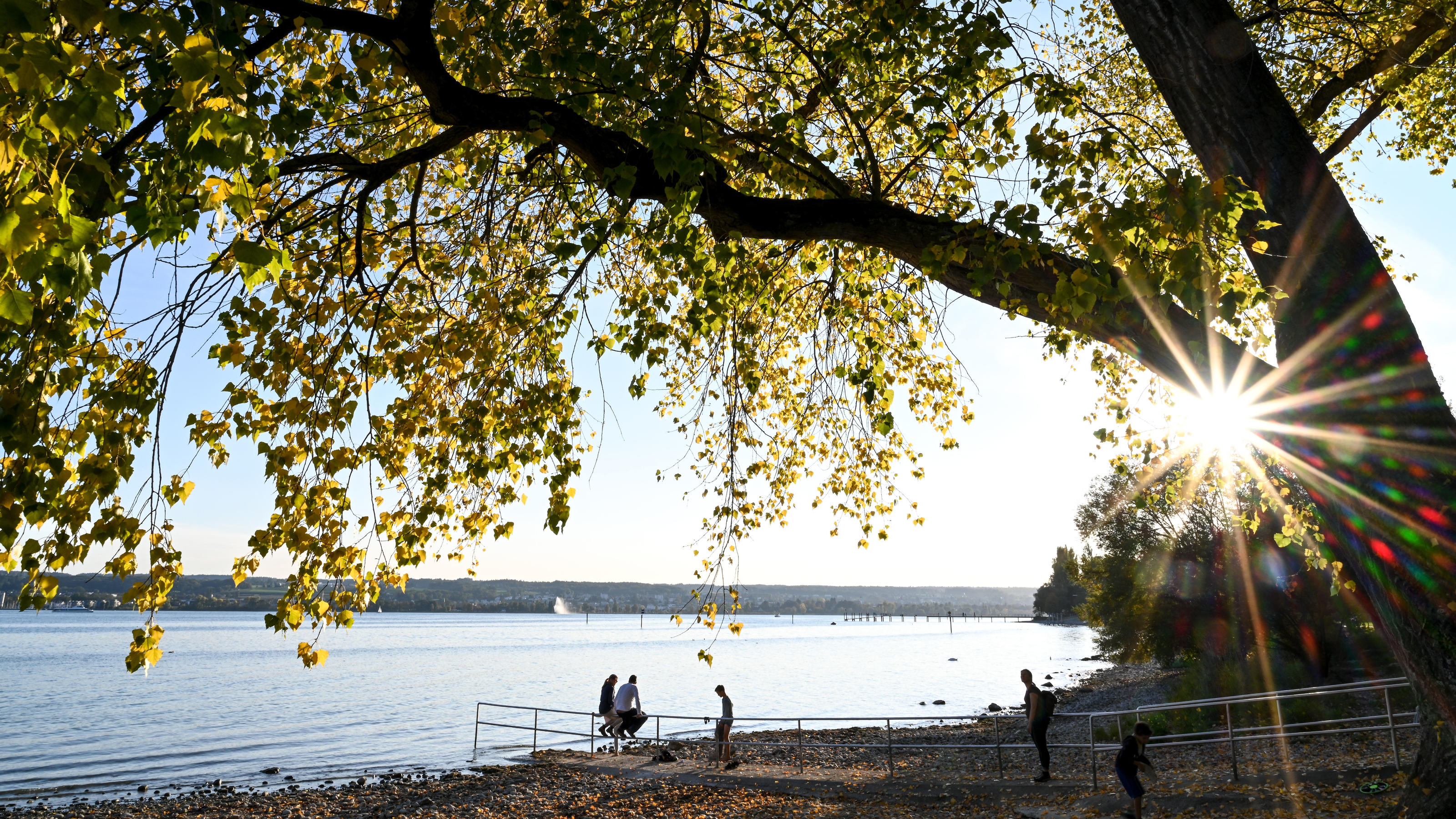 Dramatische Trockenheit: Der Altweibersommer lässt uns austrocknen Herbst am Bodensee