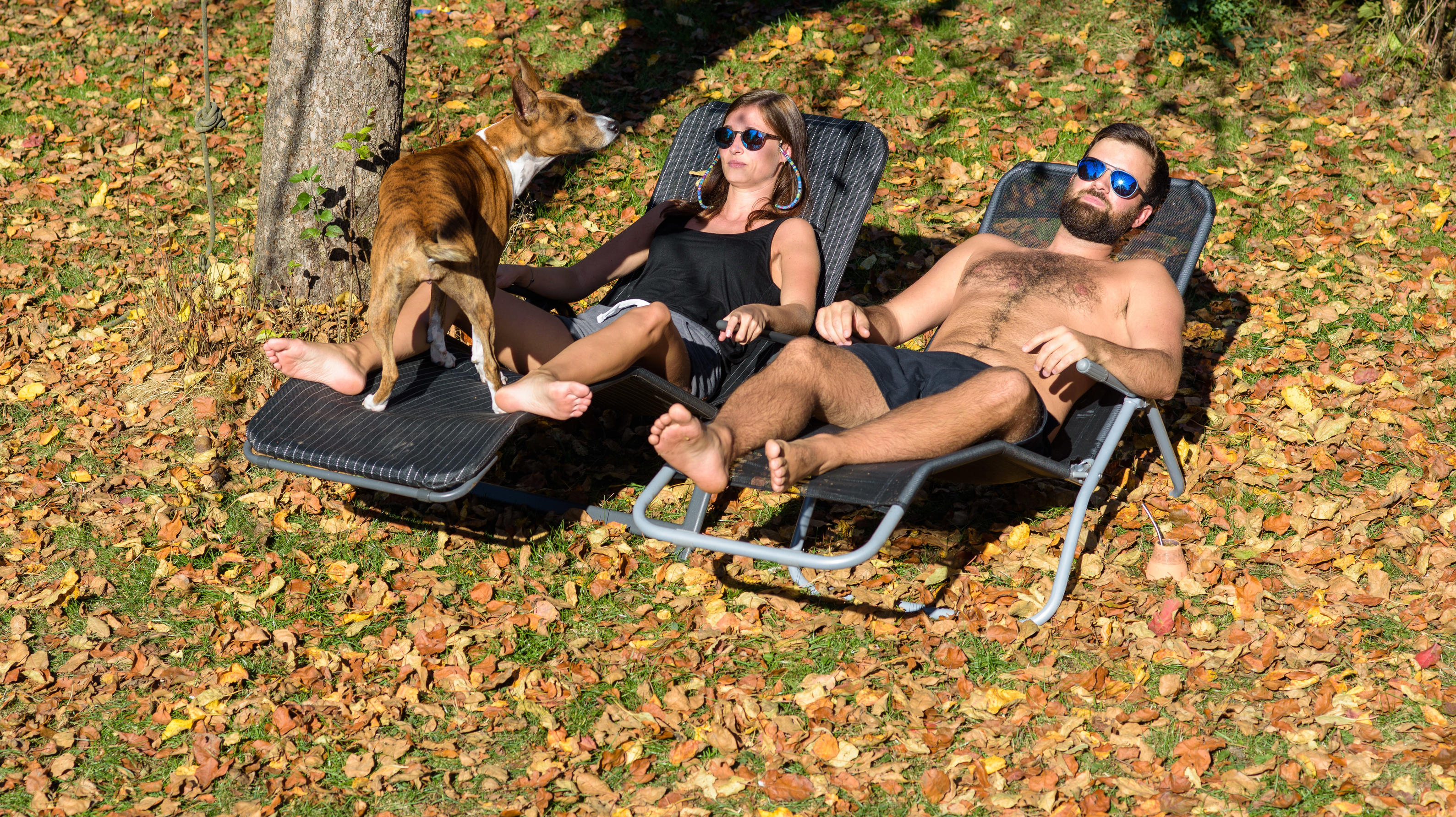 Der 7. Monat in Folge: Auch der Oktober 2018 war zu warm, zu trocken und sehr sonnig Sommerlicher Herbst