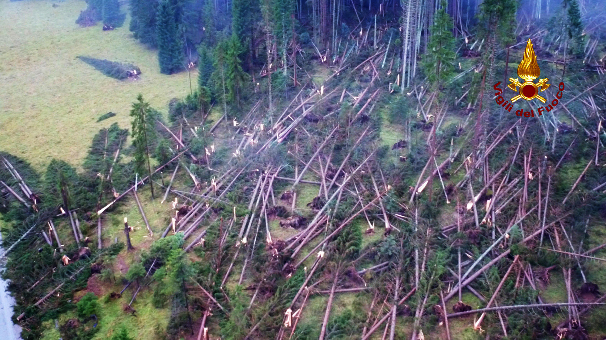 30 Tote nach Unwetter in Italien: Urlauber-Ehepaar aus Frankfurt offenbar auf Sizilien ertrunken HANDOUT - 03.11.2018, Italien, Belluno: Dieses von der italienischen Feuerwehr zur Verfügung gestellte Foto zeigt umgestürzte Bäume, die auf dem Boden in einem Wald bei Belluno liegen. Unwetter haben in Italien Chaos und Verwüstung angerichtet. Foto: