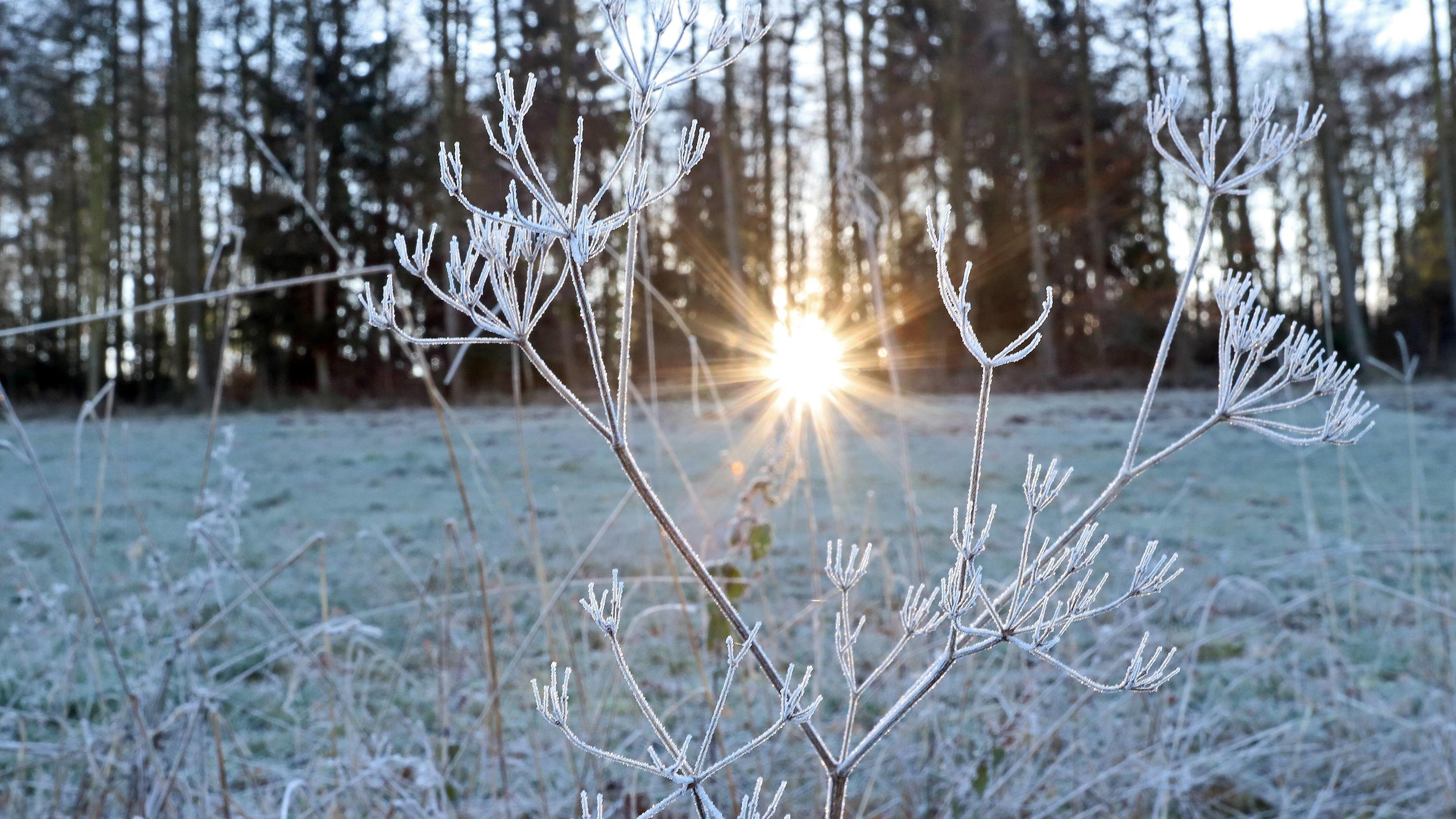 Akku vom E-Bike leer: 20-Jähriger erfriert Ein kalter Wintermorgen in Siegen-Oberschelden, Frost hat sich auf die Baeume und Wiesen gelegt, die Morgensonne scheint durch die Baeume Winter im Siegerland am 28.12.2018 in Siegen/Deutschland. *** A cold winter morning in Siegen Oberschelden Frost