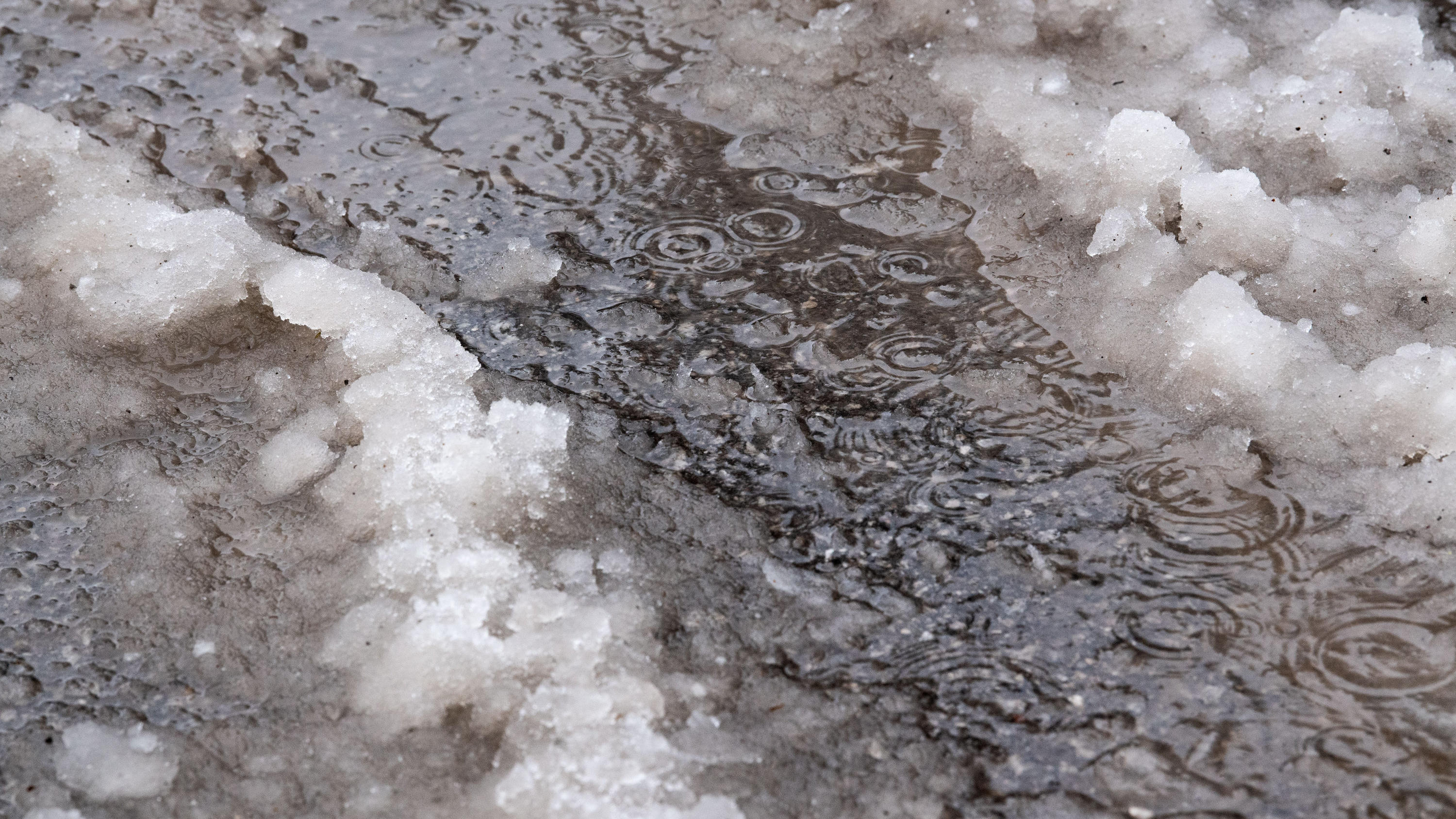 Sturm, Tauwetter und Schneechaos 13.01.2019, Bayern, Rottach-Egern: Pfützen bilden sich auf der Straße neben Schneematsch. Nach den heftigen Schneefällen der vergangenen Tage hat vielerorts Tauwetter mit Regen eingesetzt, wodurch sich die Last vom Schnee auf den Dächern vergrößert.