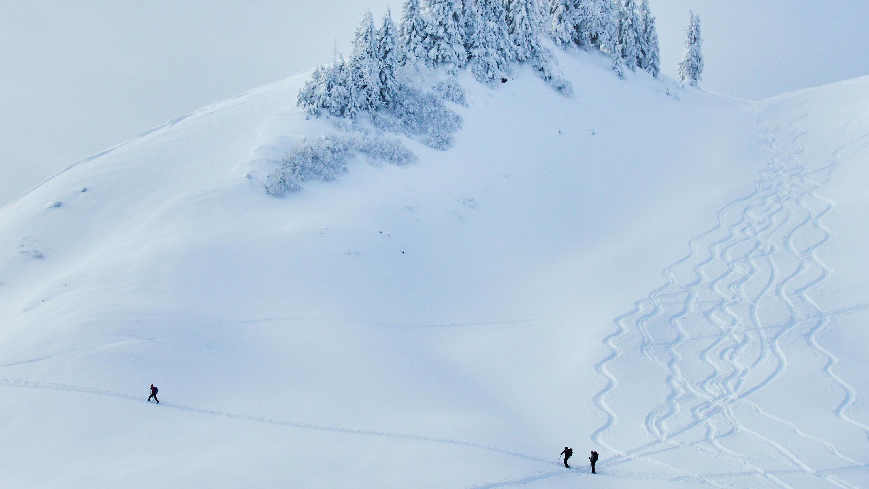 Wetterlexikon: Pulverschnee Wetterlexikon: Pulverschnee