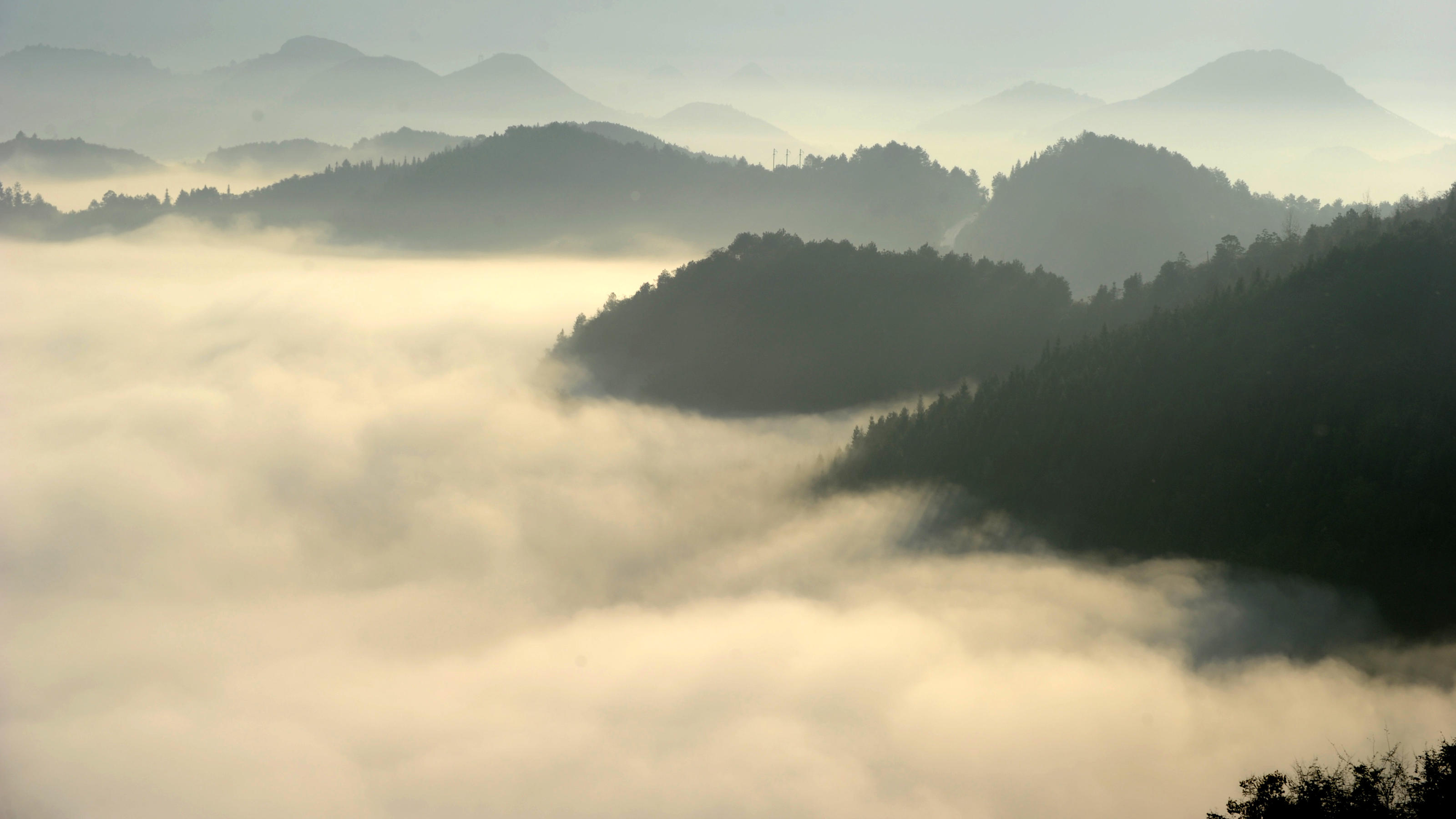 Wetterlexikon: Advektion Advektionsnebel in China