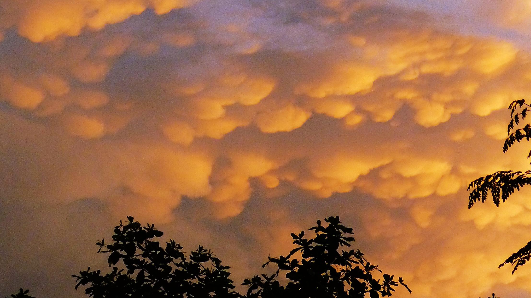 Wetterlexikon: Mamma Oft bilden sich Mammatus an der Basis von Cumulonimbus-Wolken. Die tiefstehende Sonne färbt sie rötlich oder gelb, zwischen den Auswüchsen sind dunkle Schatten zu sehen.