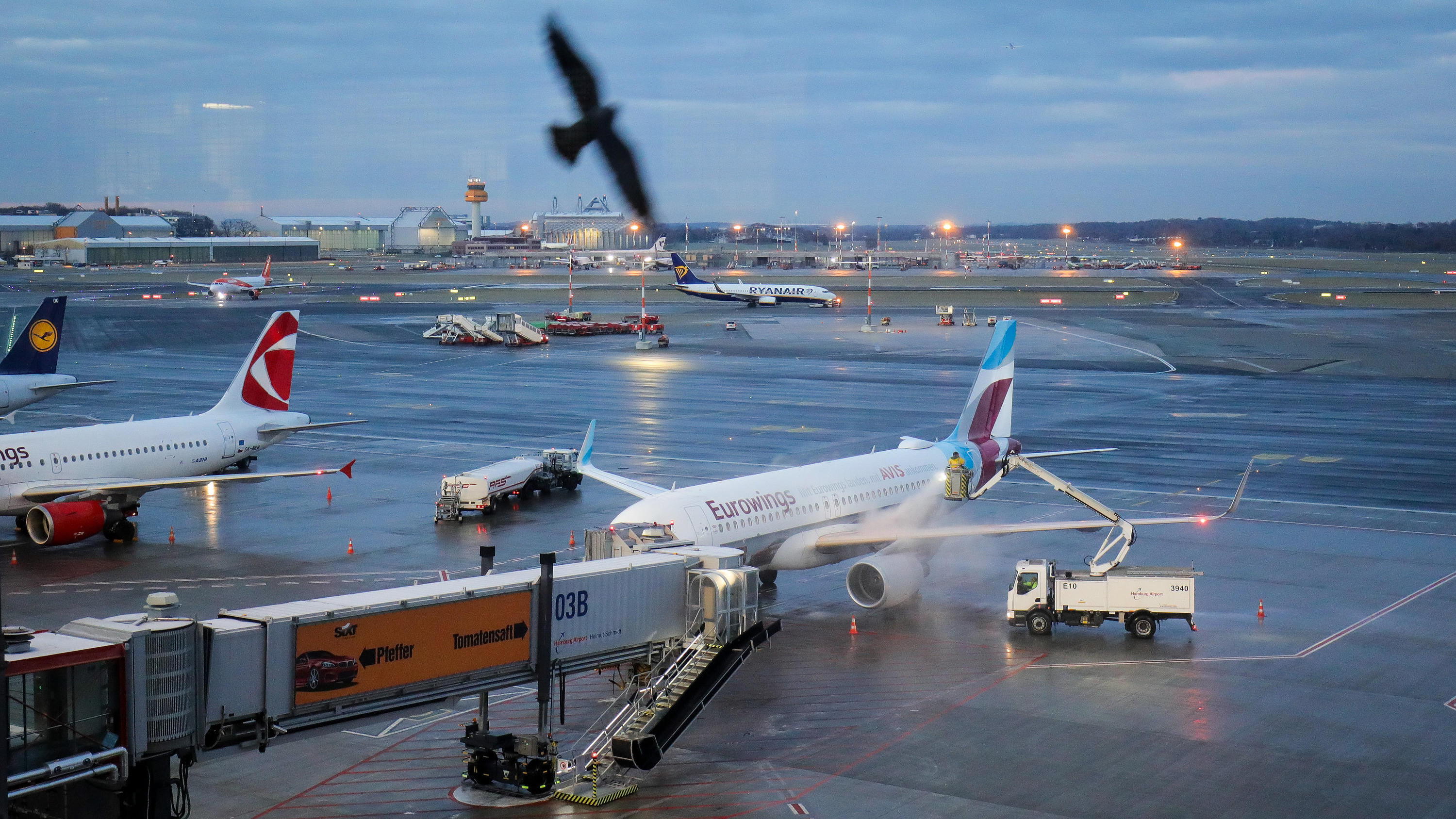 Wetterlexikon: METAR Hamburg: Eine Maschine der Fluggesellschaft Eurowings wird auf dem Vorfeld des Flughafens Hamburg enteist.