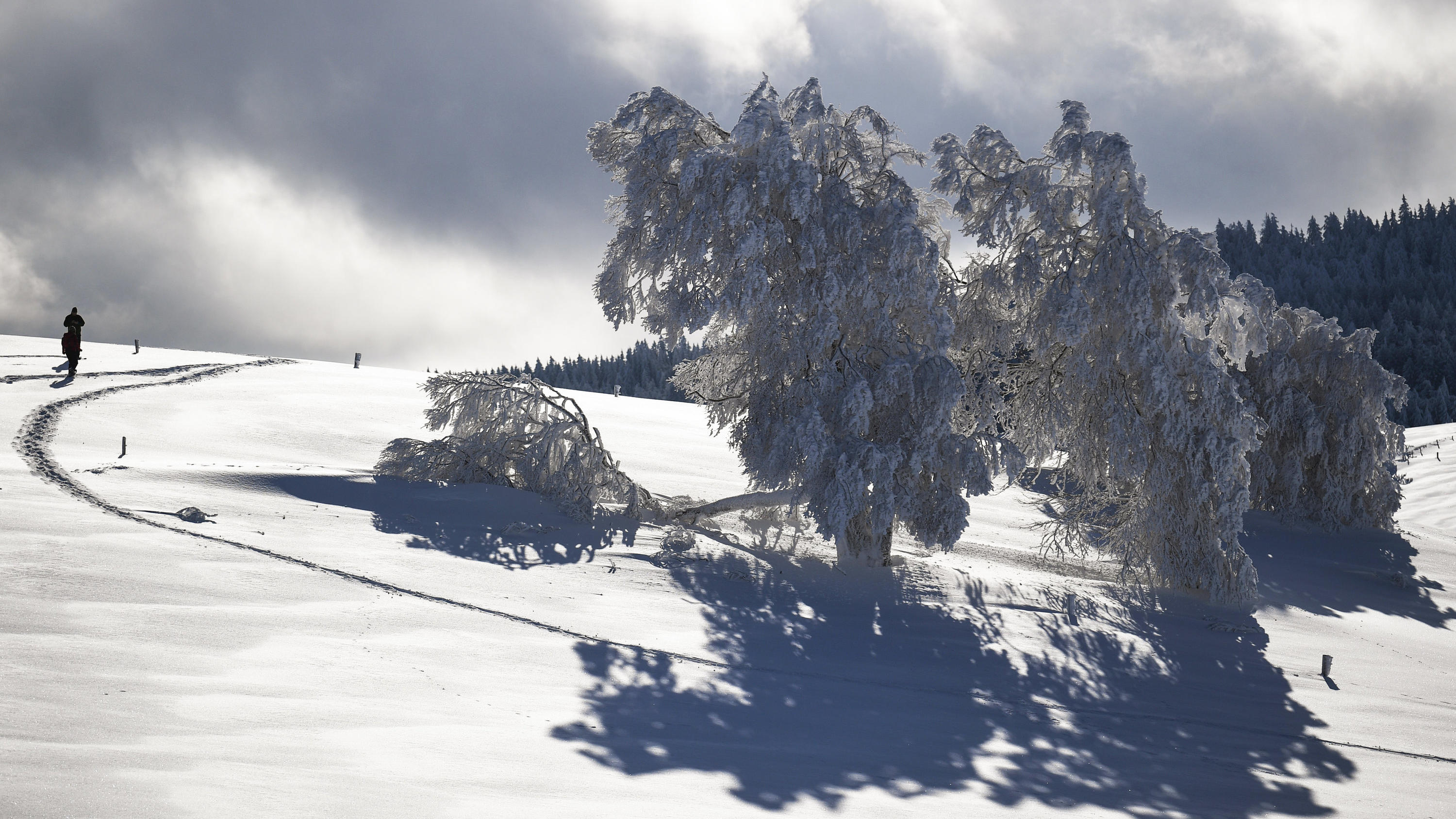 44+ Schnee im schwarzwald heute bilder , Winterwetter im Schwarzwald So schön kann die Kälte sein wetter.de