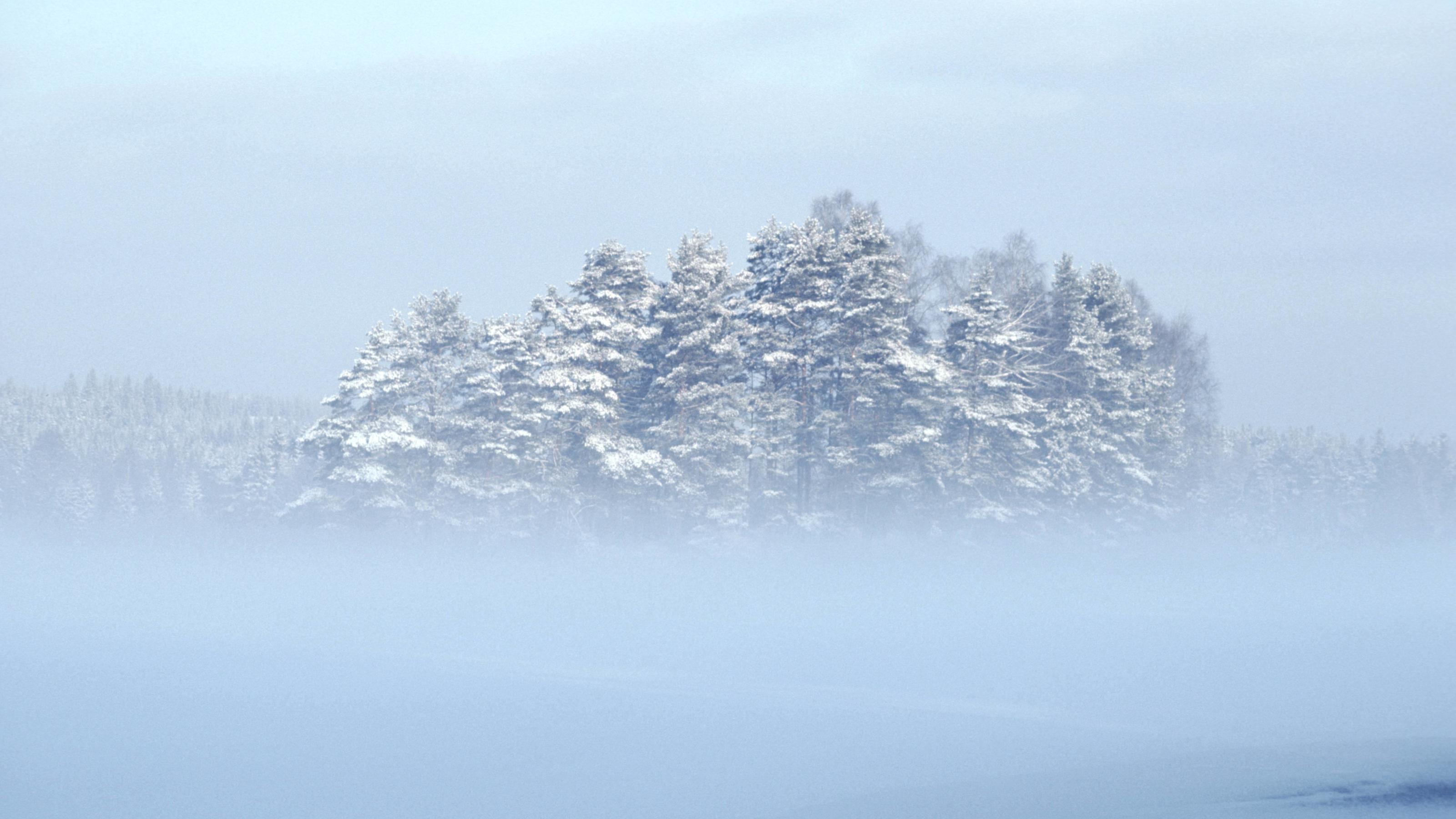 Wetterlexikon: Eisnebel Eisnebel in Schweden