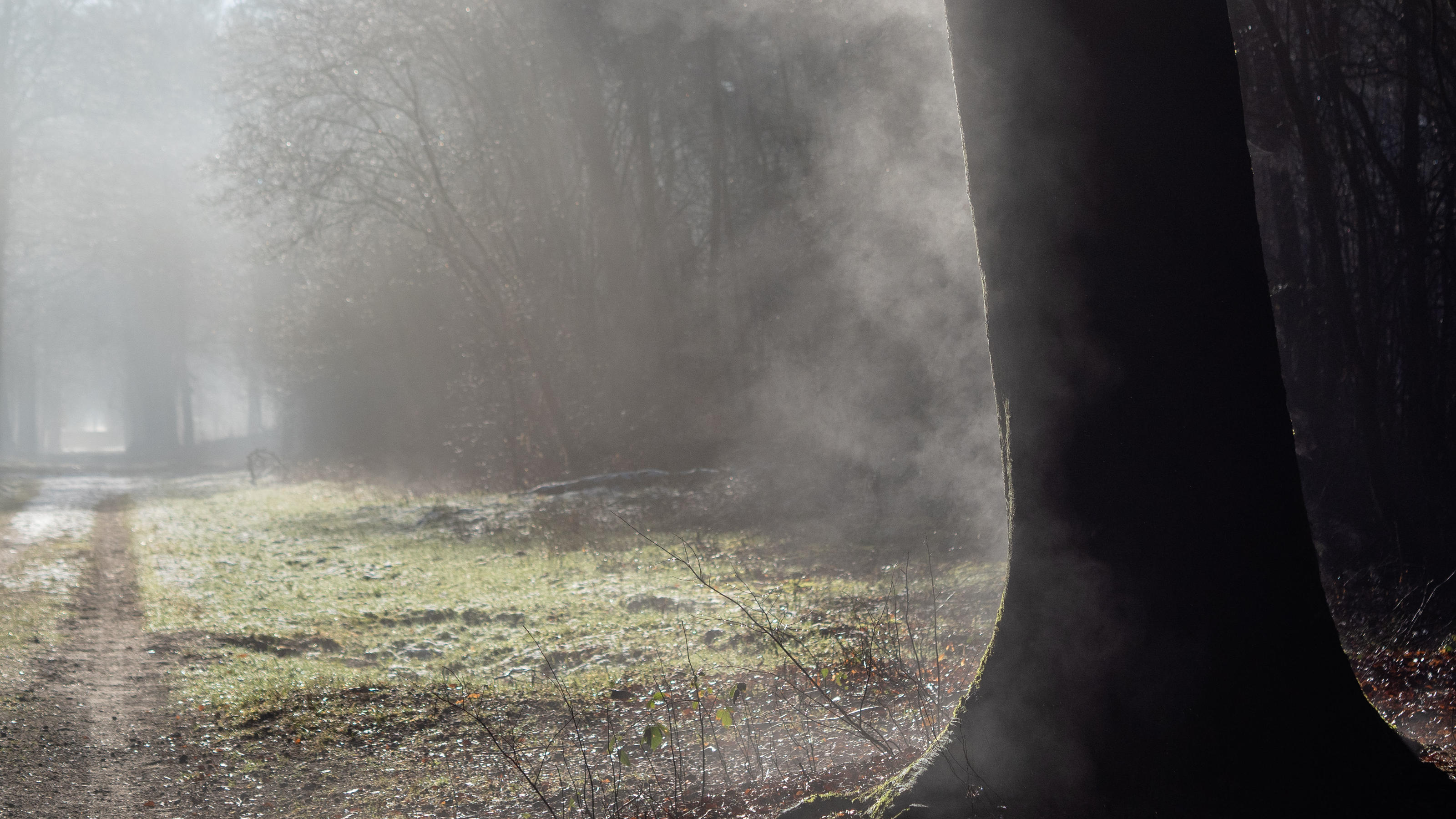 Wetterlexikon: Evaporation Wetterlexikon: Evaporation