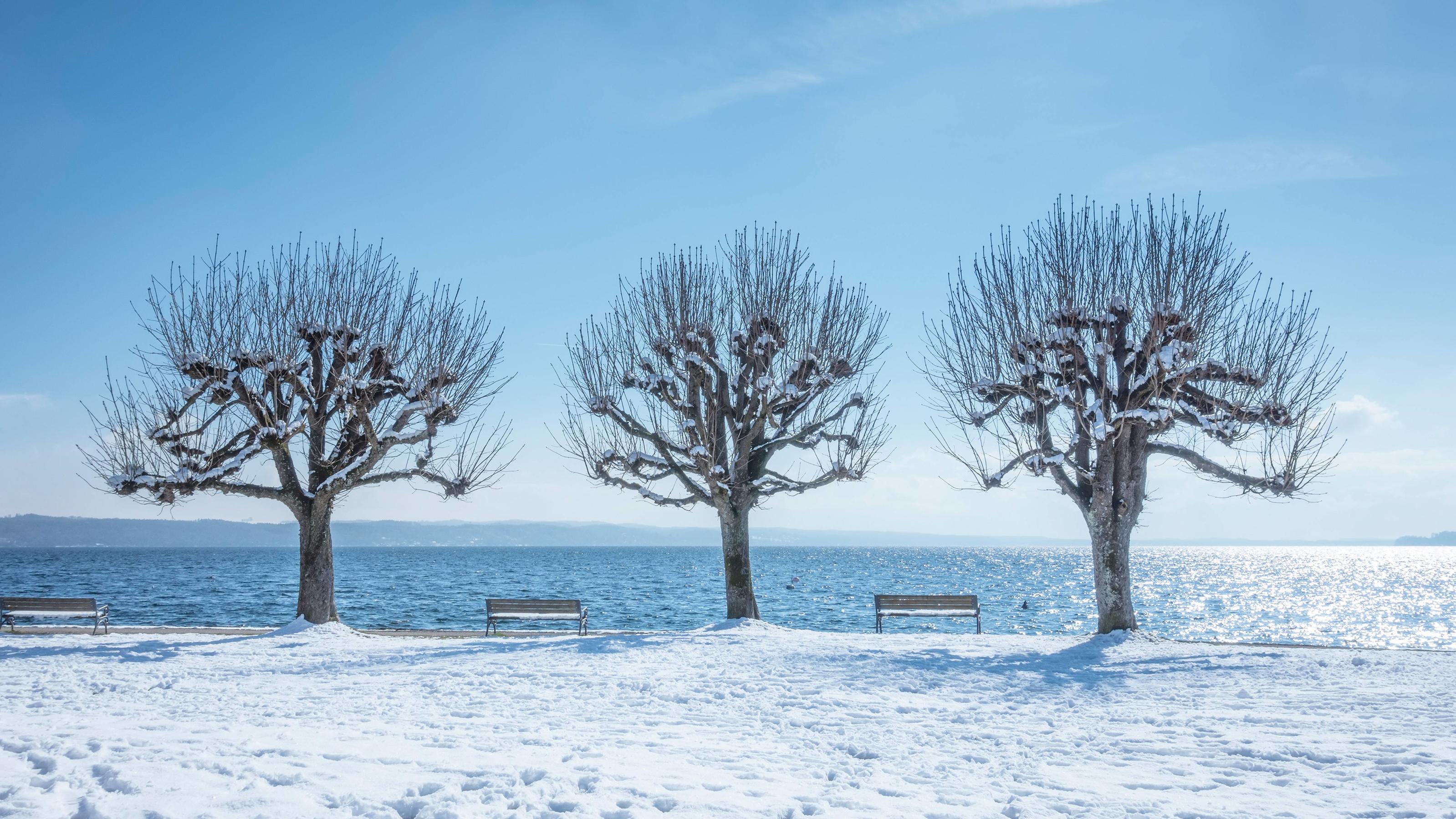 Die große Dürre 2018 – Niederschlagsdefizit ist immer noch nicht ausgeglichen Winterszene bei Tutzing, Deutschland, Bayern winter scenery at Tutzing, Germany, Bavaria BLWS515973 Copyright: xblickwinkel/McPHOTO/M.xGannx