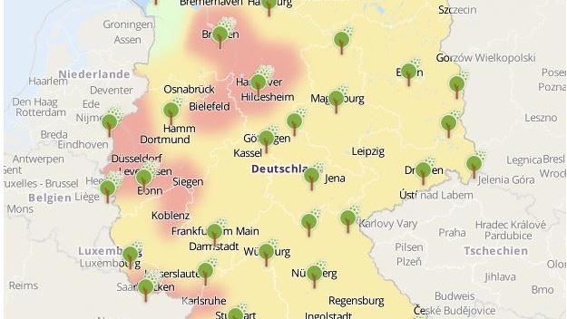 Horror für Allergiker: Frühlingslüftchen lässt schon die Pollen fliegen Pollenflugkarte