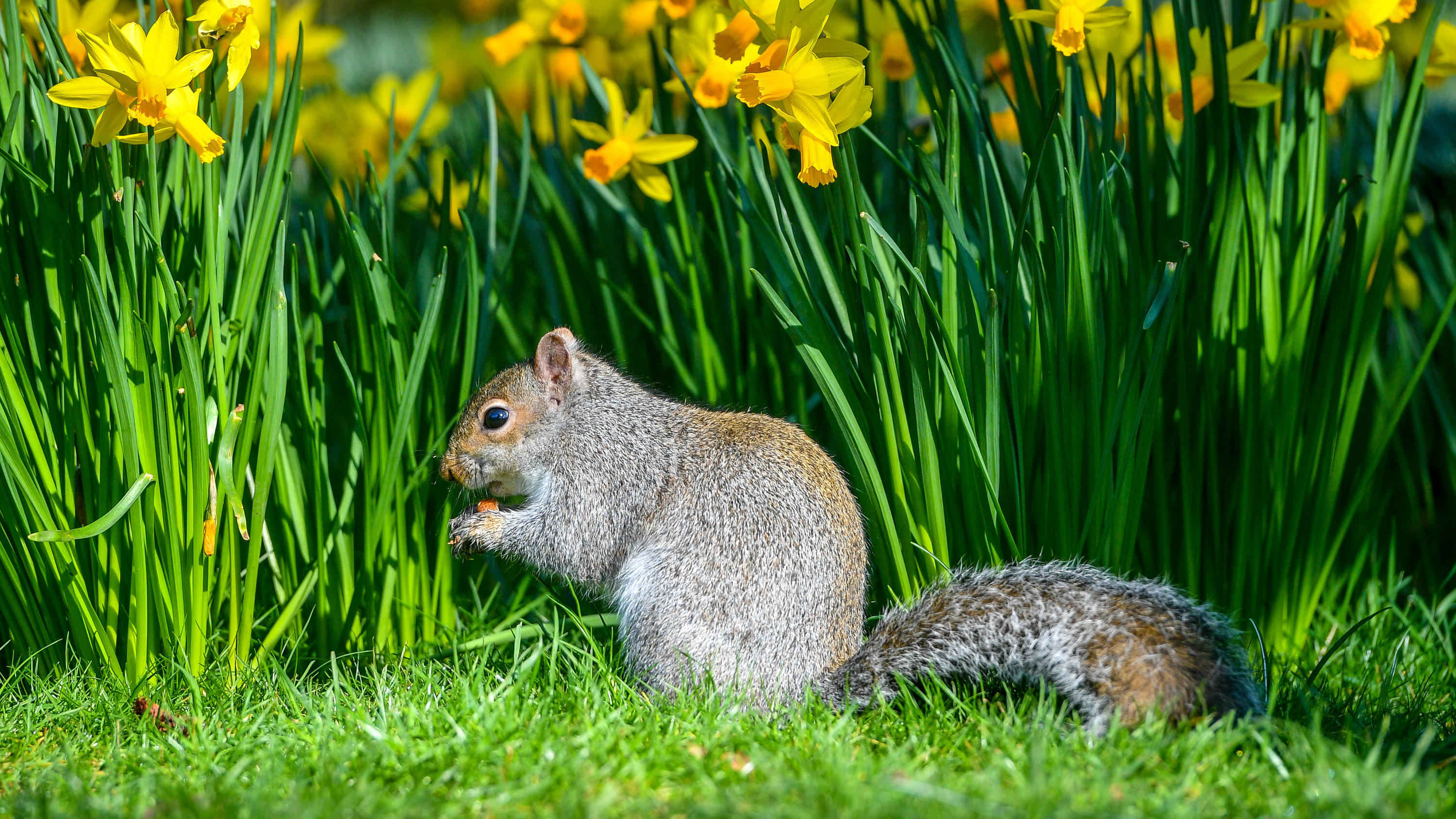 Wetterlexikon: Jahreszeiten Wetterlexikon: Jahreszeiten Frühling