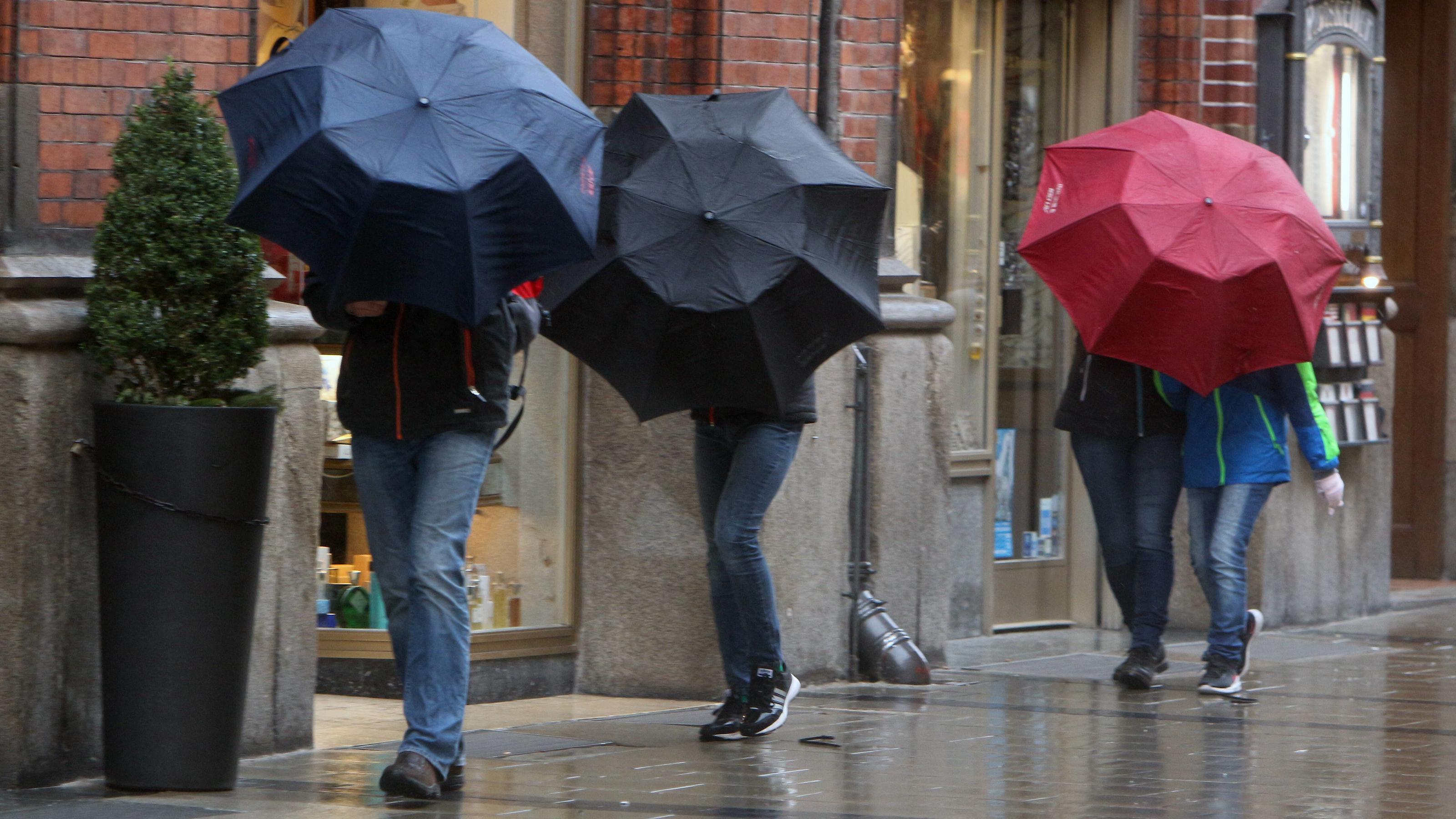 Wetter im Februar 2020: Wie viel Winter können wir erwarten? Regen, Regen und nochmals Regen. Denn das durstige Frühjahr kommt bestimmt.