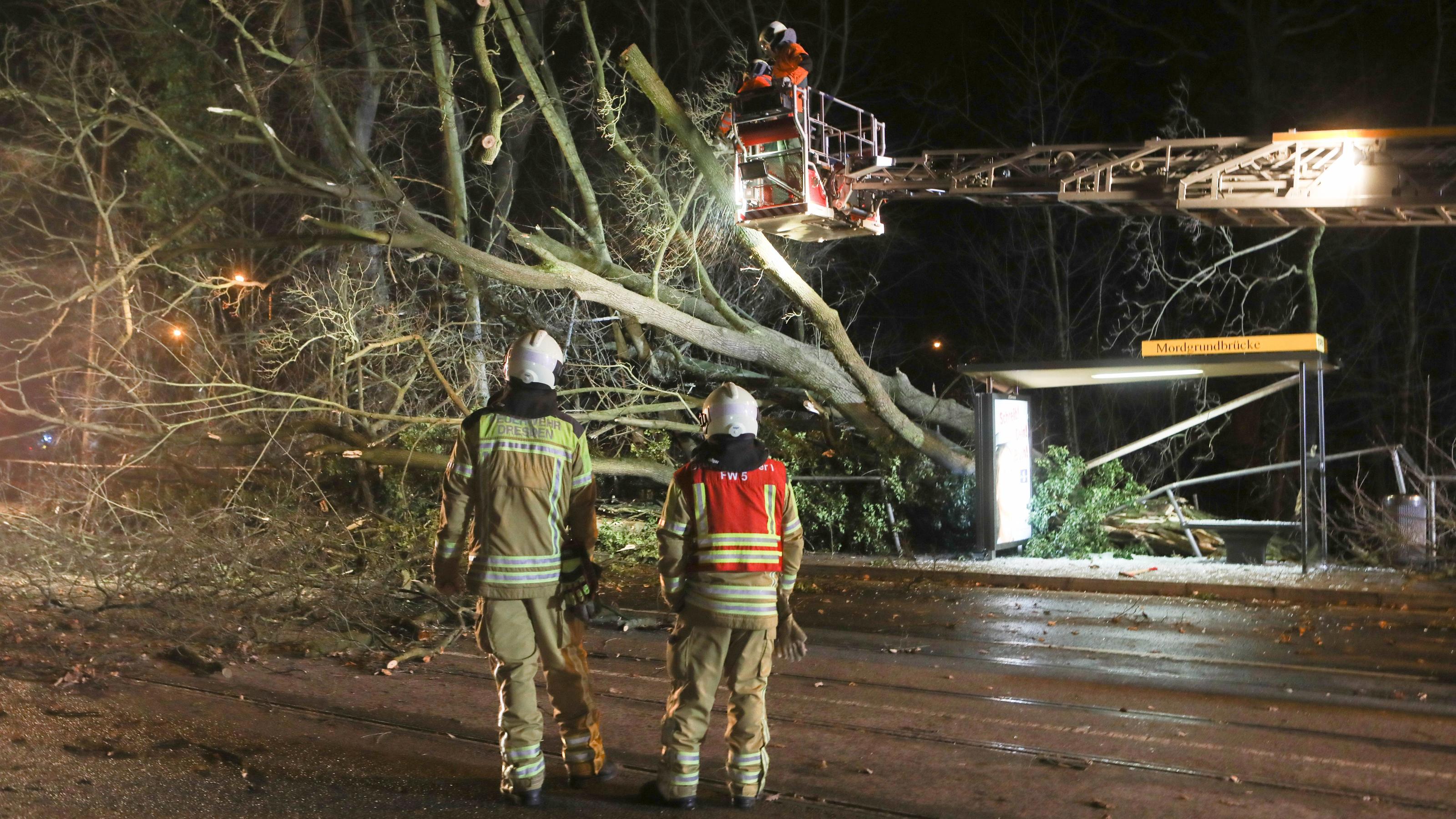Neuer Sturm „Franz“ zieht auf und bringt viel Regen Zu Fällarbeiten wurde die Dresdner Feuerwehr Sonntagabend auf die Bautzner Straße gerufen. In Höhe Loschwitz stürzte hier, aufgrund des starken Sturmes, gegen 20.20 Uhr ein Baum auf die Oberleitung und beschädigte diese. Infolge kam es zu einer Störu